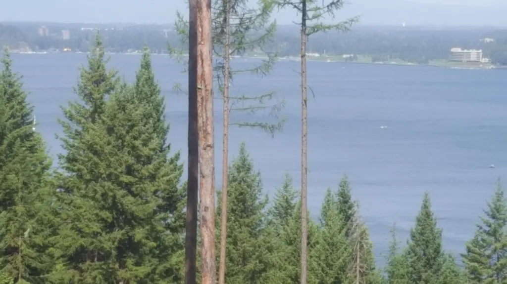 Lot 13 Lisa Road Harrison ID 83833