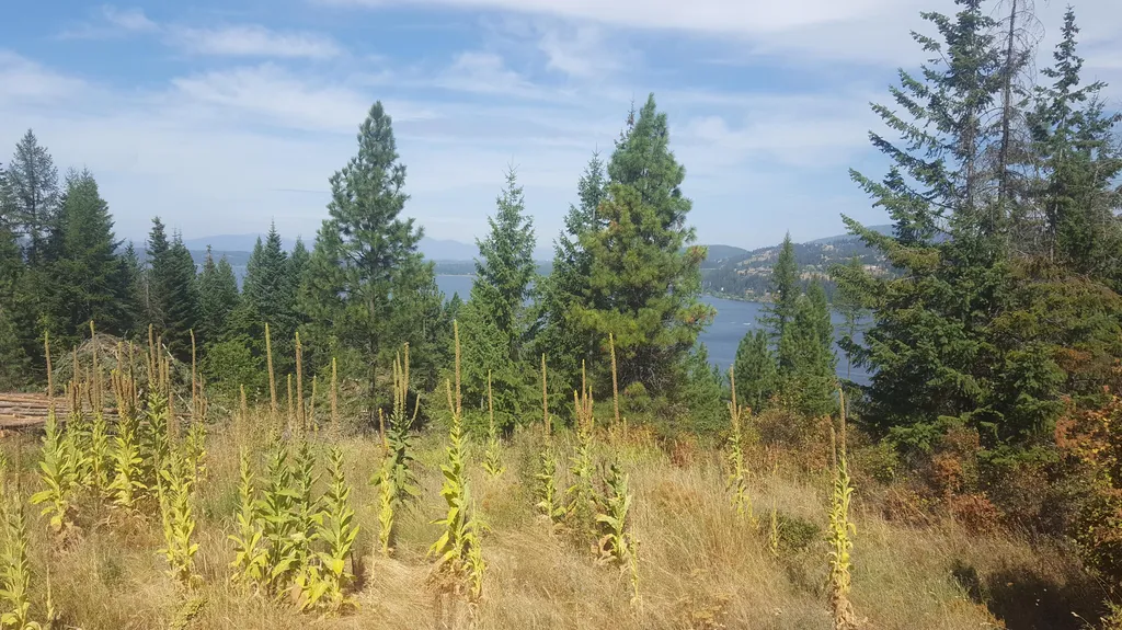 Lot 13 Lisa Road Harrison ID 83833