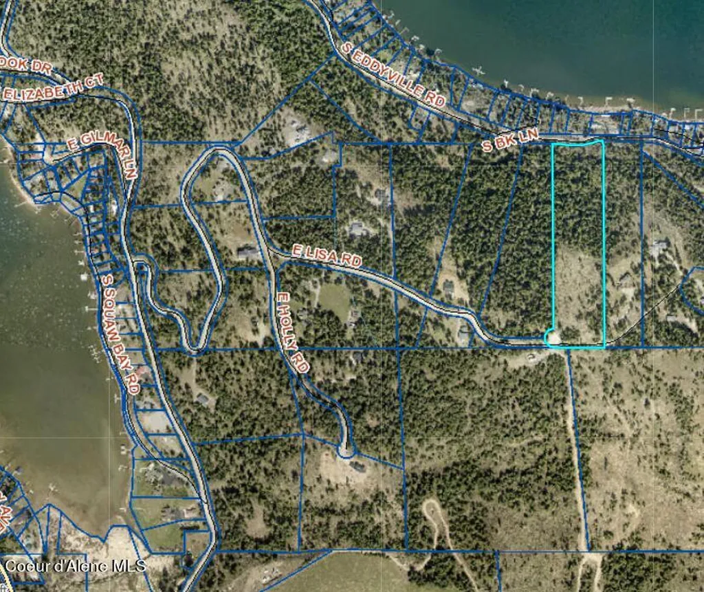Lot 13 Lisa Road Harrison ID 83833