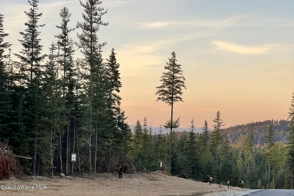 Lot 16 Bk1 Leonard Loop Athol ID 83801