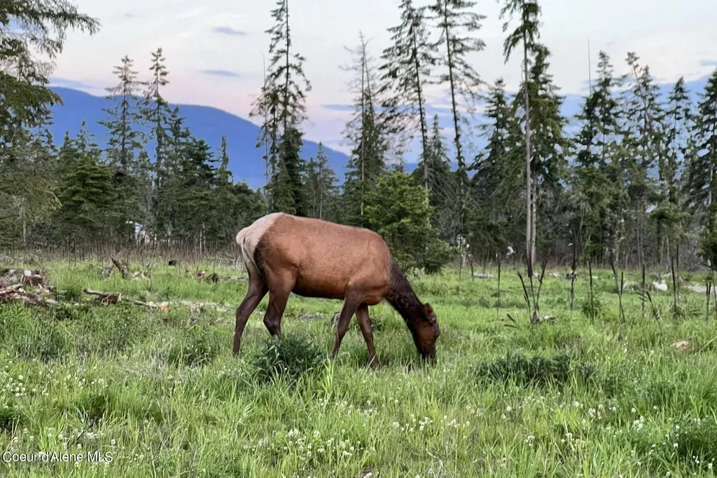 Lot 16 Bk1 Leonard Loop Athol ID 83801