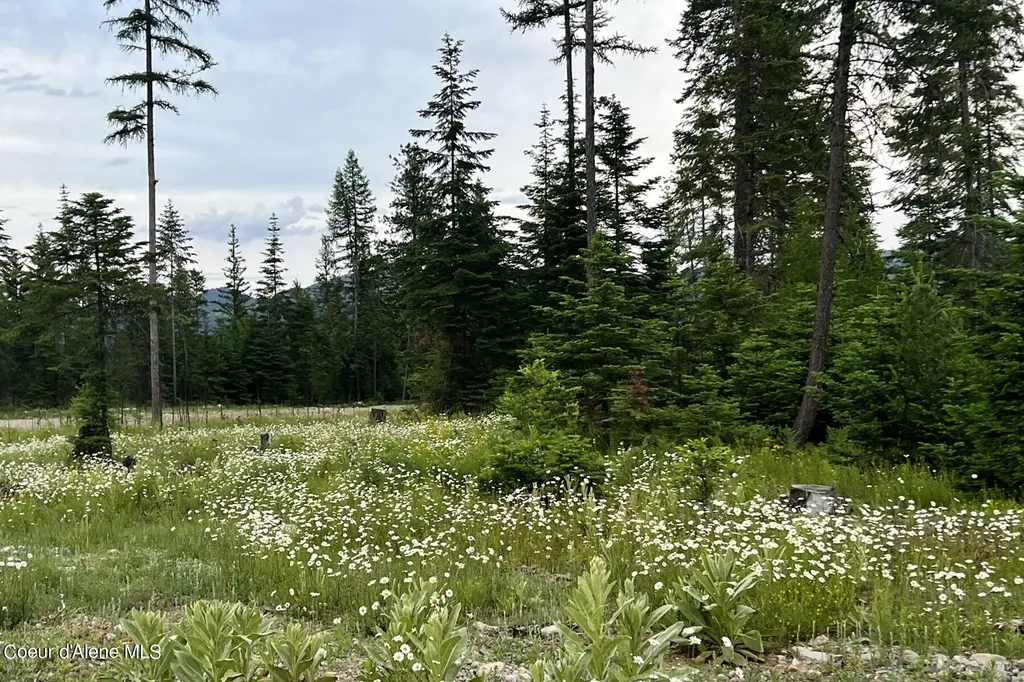 Lot 16 Bk1 Leonard Loop Athol ID 83801