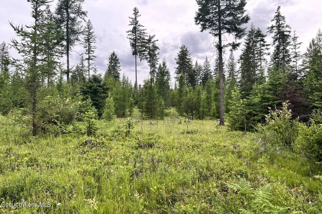 Lot 16 Bk1 Leonard Loop Athol ID 83801