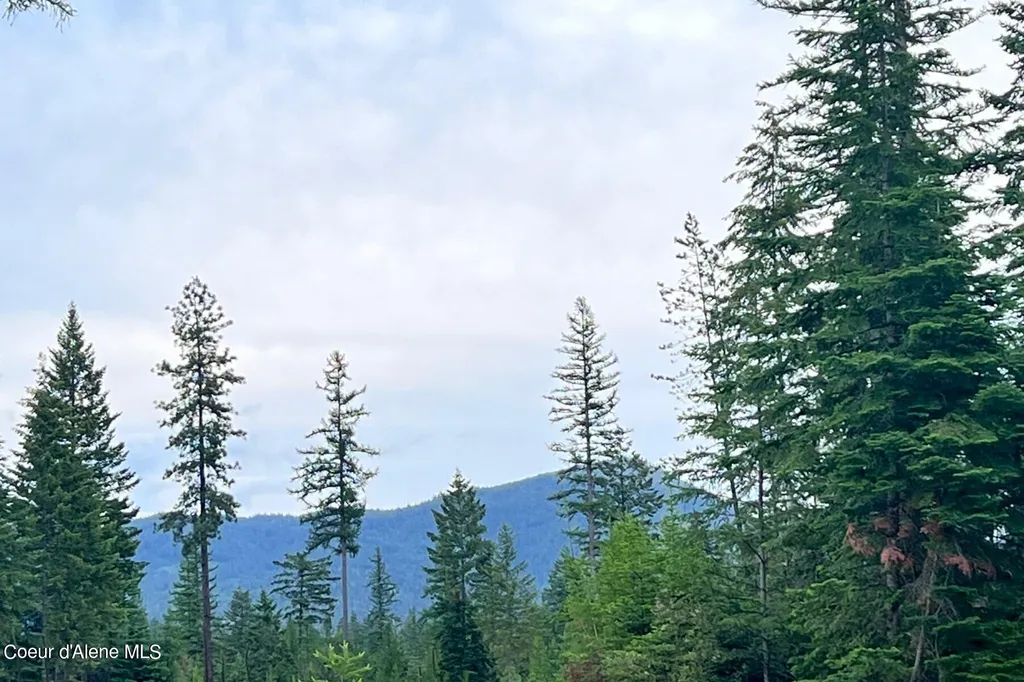 Lot 16 Bk1 Leonard Loop Athol ID 83801
