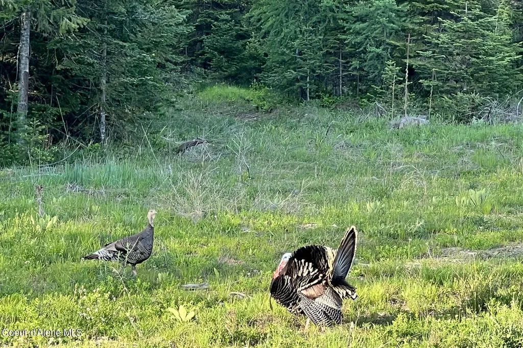 Lot 16 Bk1 Leonard Loop Athol ID 83801