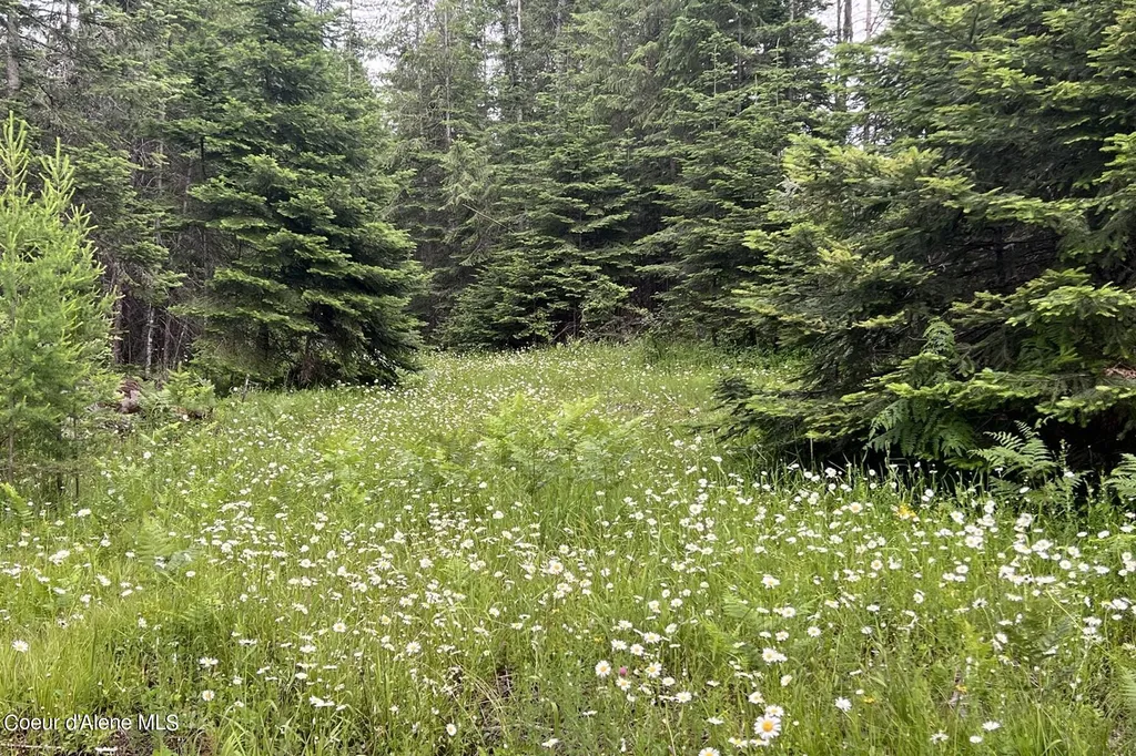 Lot 16 Bk1 Leonard Loop Athol ID 83801