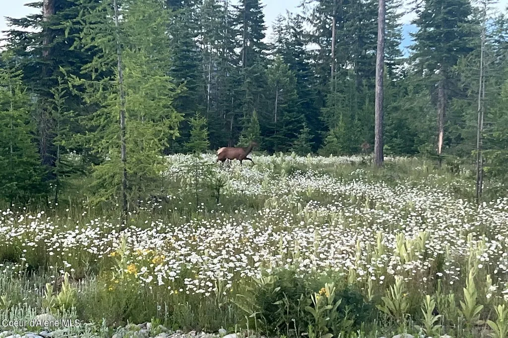 Lot 16 Bk1 Leonard Loop Athol ID 83801