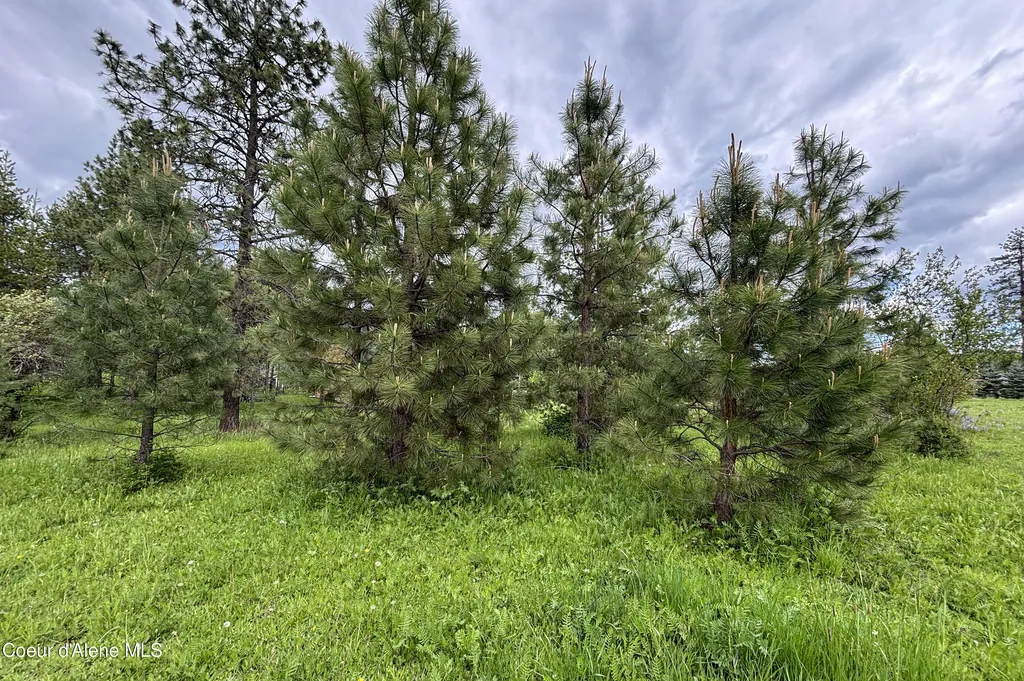 Lot 11 Hewitt Lane Dover ID 83825