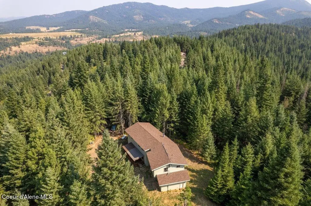 650 Ridgeview Drive St. Maries ID 83861