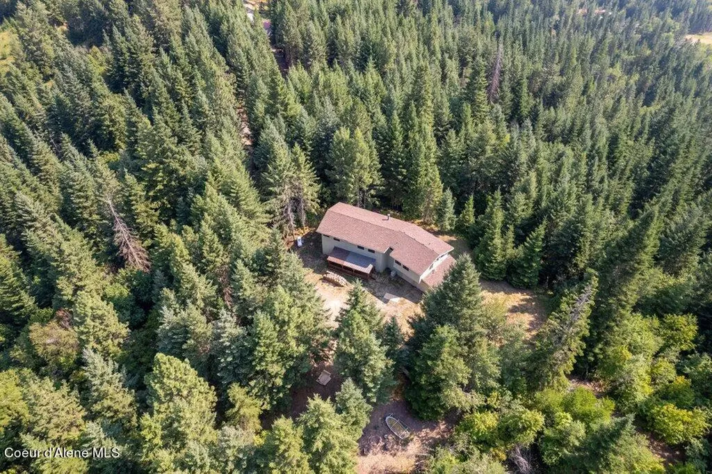 650 Ridgeview Drive St. Maries ID 83861