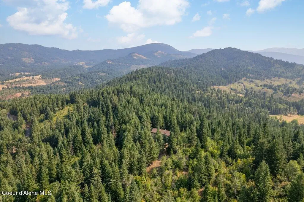 650 Ridgeview Drive St. Maries ID 83861