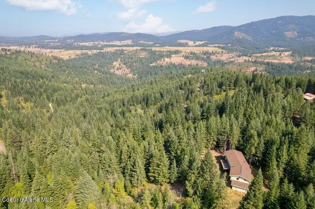 650 Ridgeview Drive St. Maries ID 83861