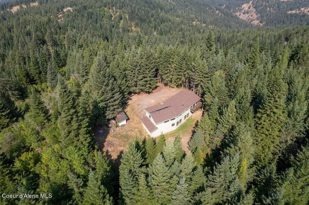 650 Ridgeview Drive St. Maries ID 83861