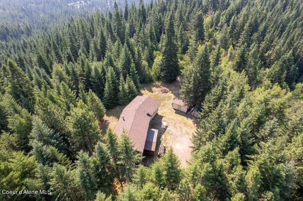 650 Ridgeview Drive St. Maries ID 83861