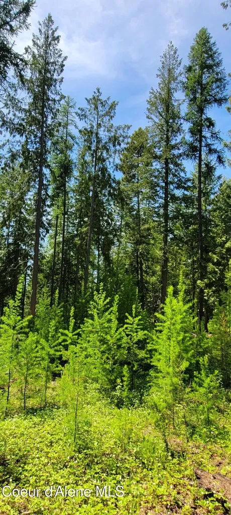 1015 Templeman Lake Road Bonners Ferry ID 83805