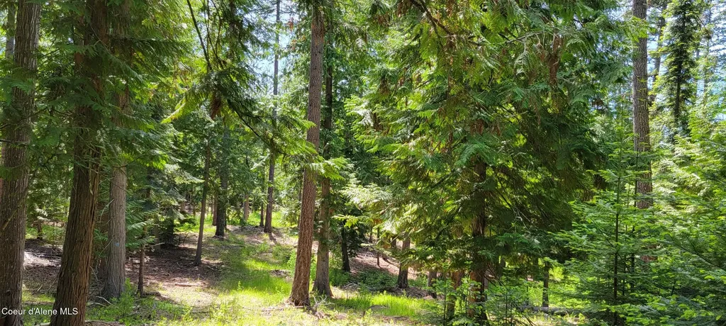 1015 Templeman Lake Road Bonners Ferry ID 83805