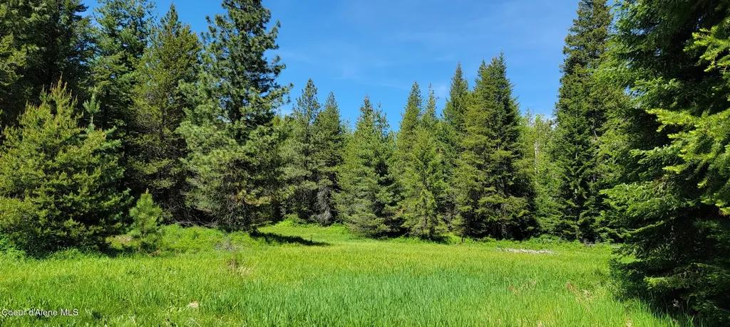 1015 Templeman Lake Road Bonners Ferry ID 83805