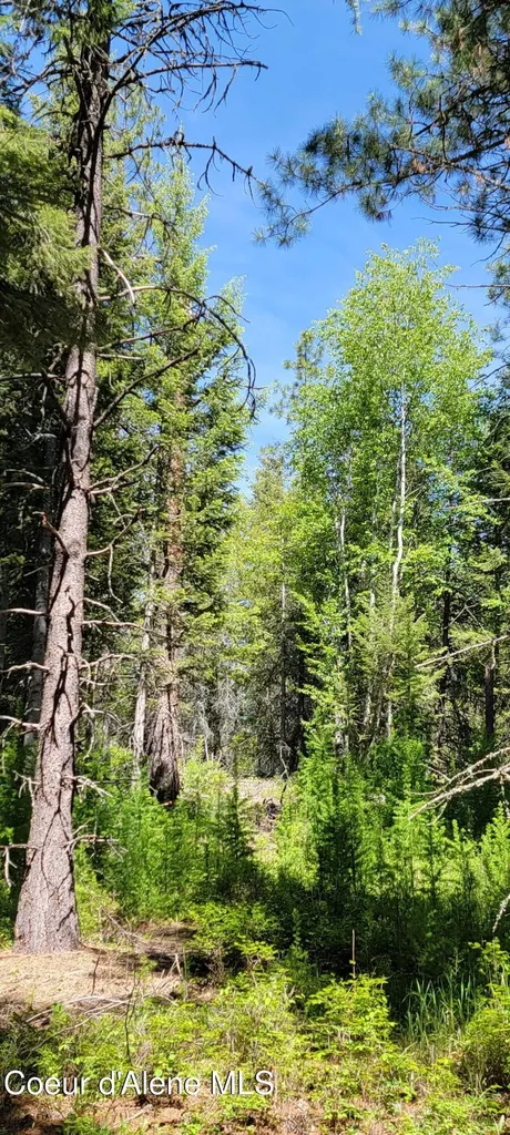 1015 Templeman Lake Road Bonners Ferry ID 83805