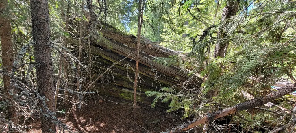 1015 Templeman Lake Road Bonners Ferry ID 83805