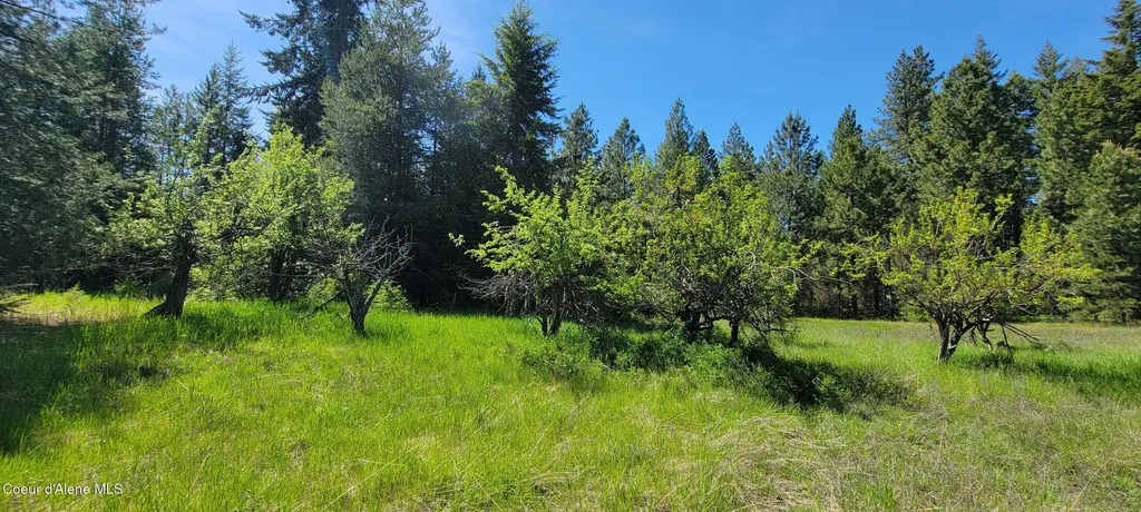 1015 Templeman Lake Road Bonners Ferry ID 83805