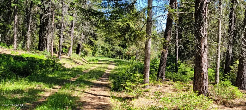 1015 Templeman Lake Road Bonners Ferry ID 83805