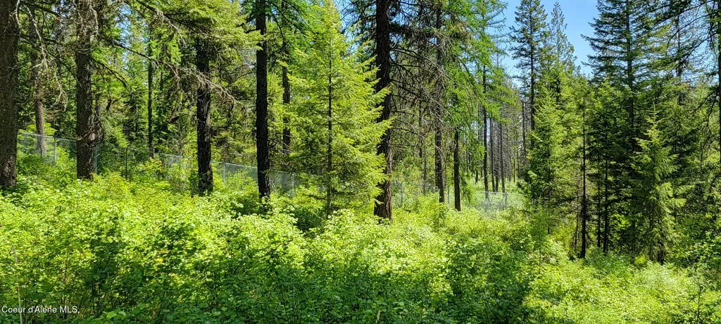 1015 Templeman Lake Road Bonners Ferry ID 83805