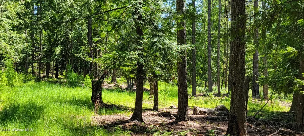 1015 Templeman Lake Road Bonners Ferry ID 83805