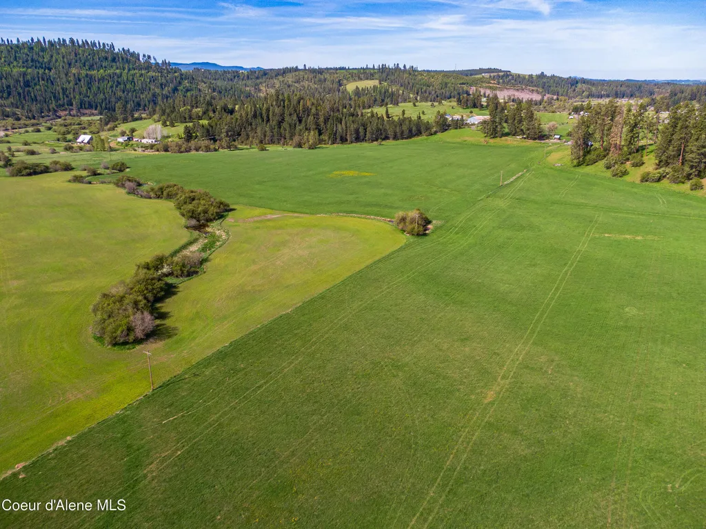 1101 Ruby Creek Road Harvard ID 83834
