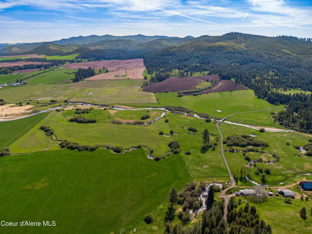 1101 Ruby Creek Road Harvard ID 83834