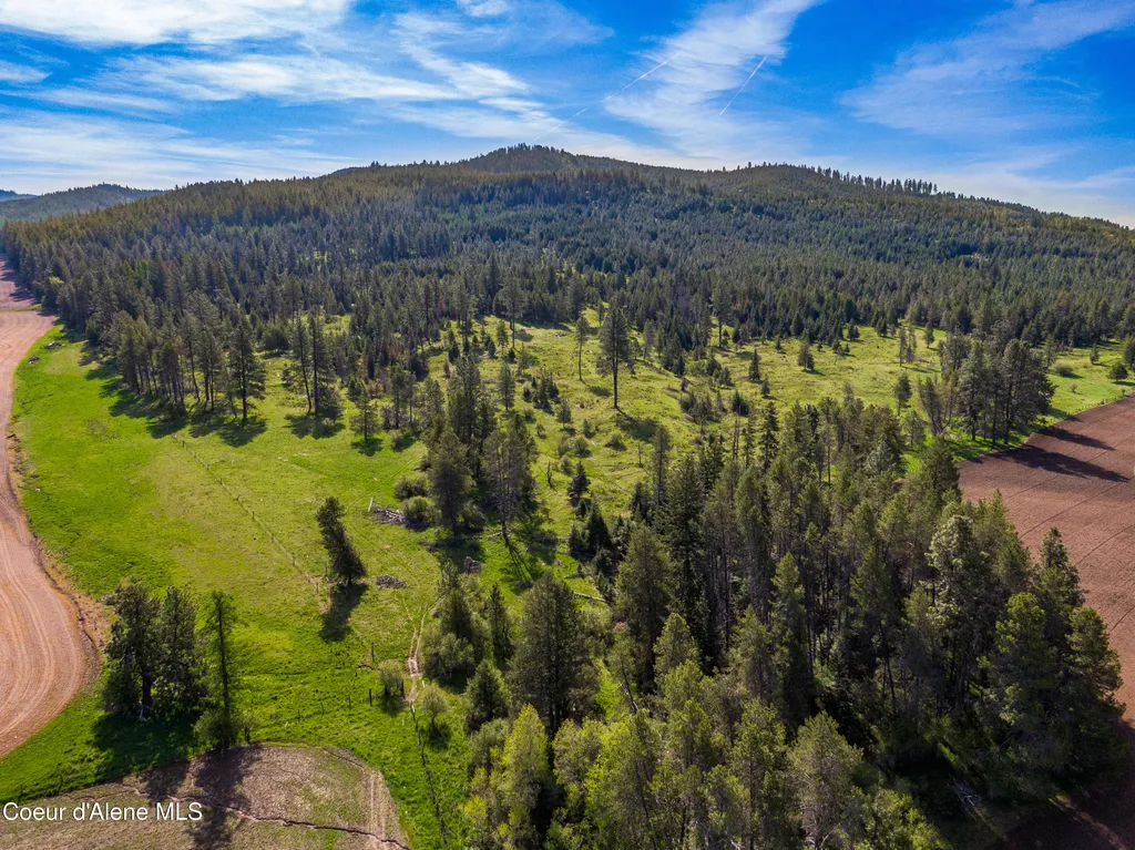 1101 Ruby Creek Road Harvard ID 83834