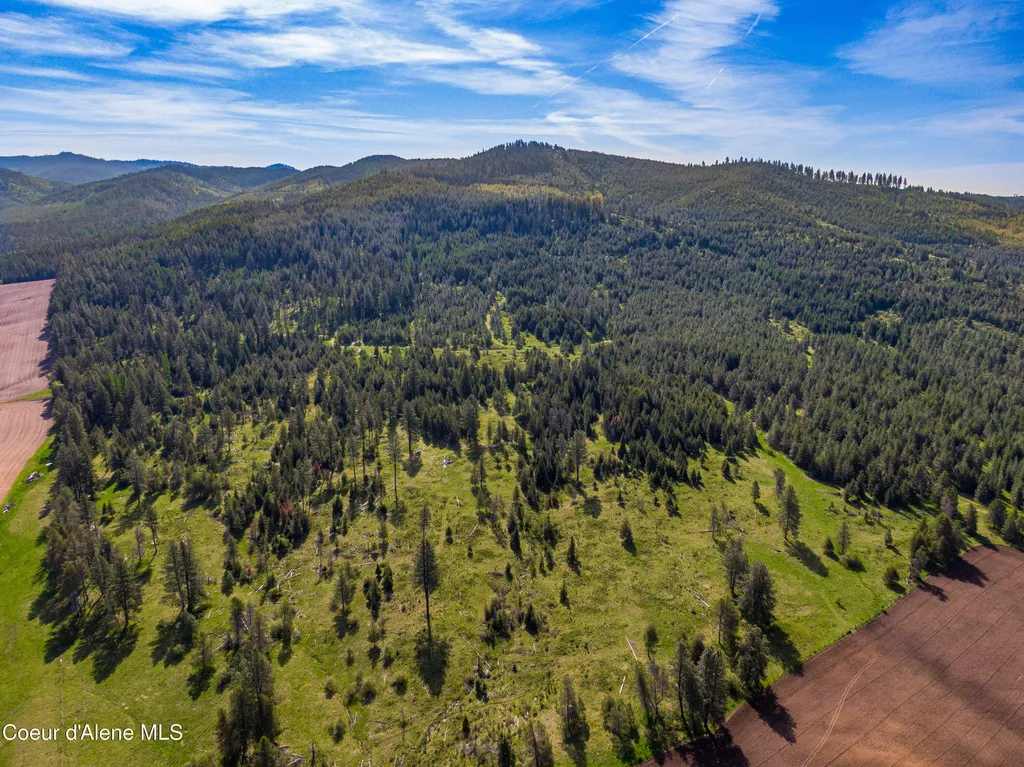 1101 Ruby Creek Road Harvard ID 83834