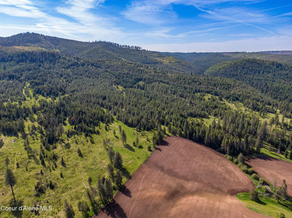 1101 Ruby Creek Road Harvard ID 83834