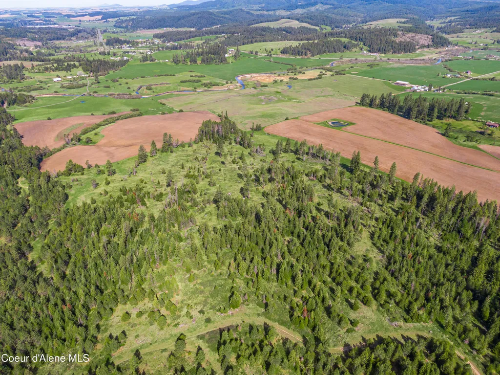 1101 Ruby Creek Road Harvard ID 83834
