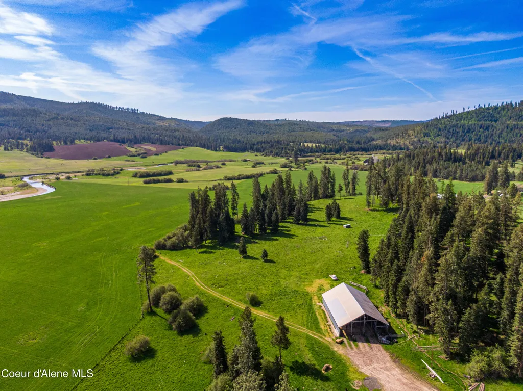 1101 Ruby Creek Road Harvard ID 83834