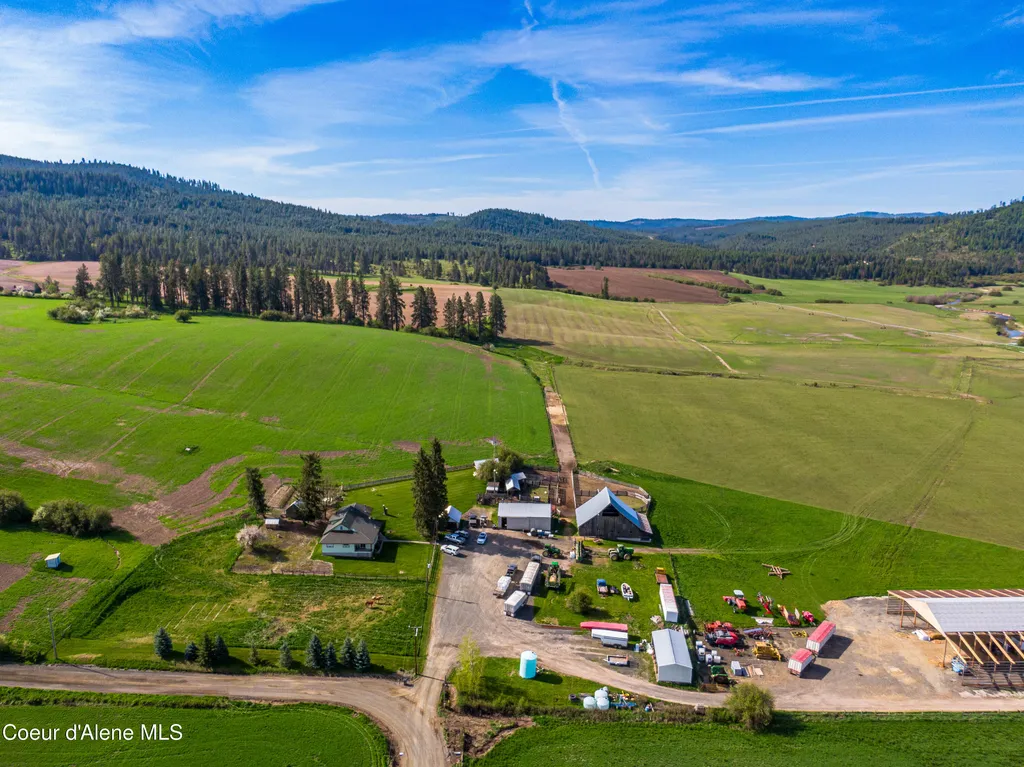 1101 Ruby Creek Road Harvard ID 83834