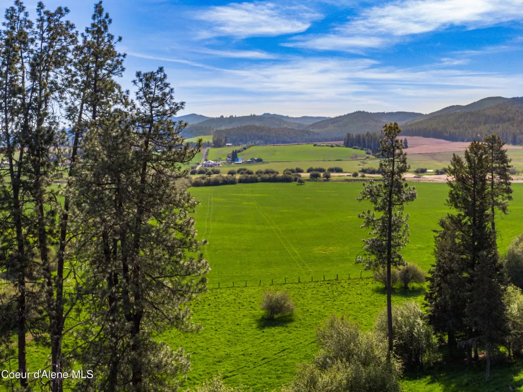 1101 Ruby Creek Road Harvard ID 83834