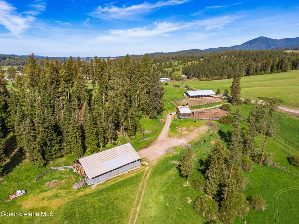 1101 Ruby Creek Road Harvard ID 83834