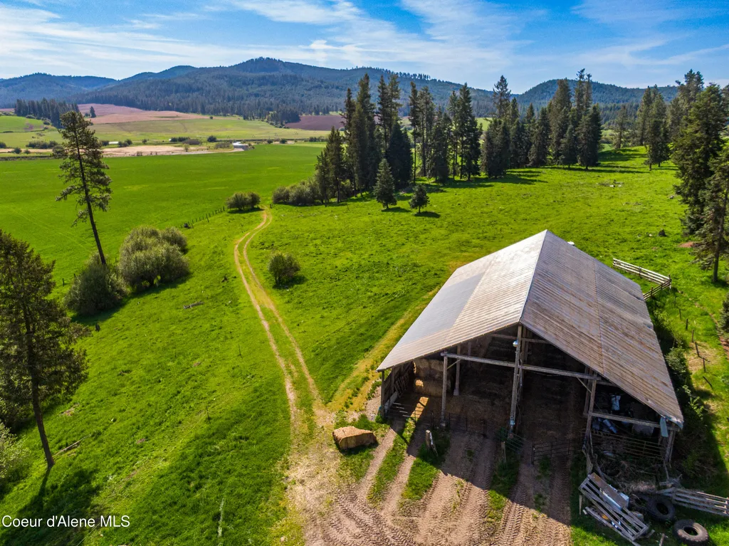 1101 Ruby Creek Road Harvard ID 83834
