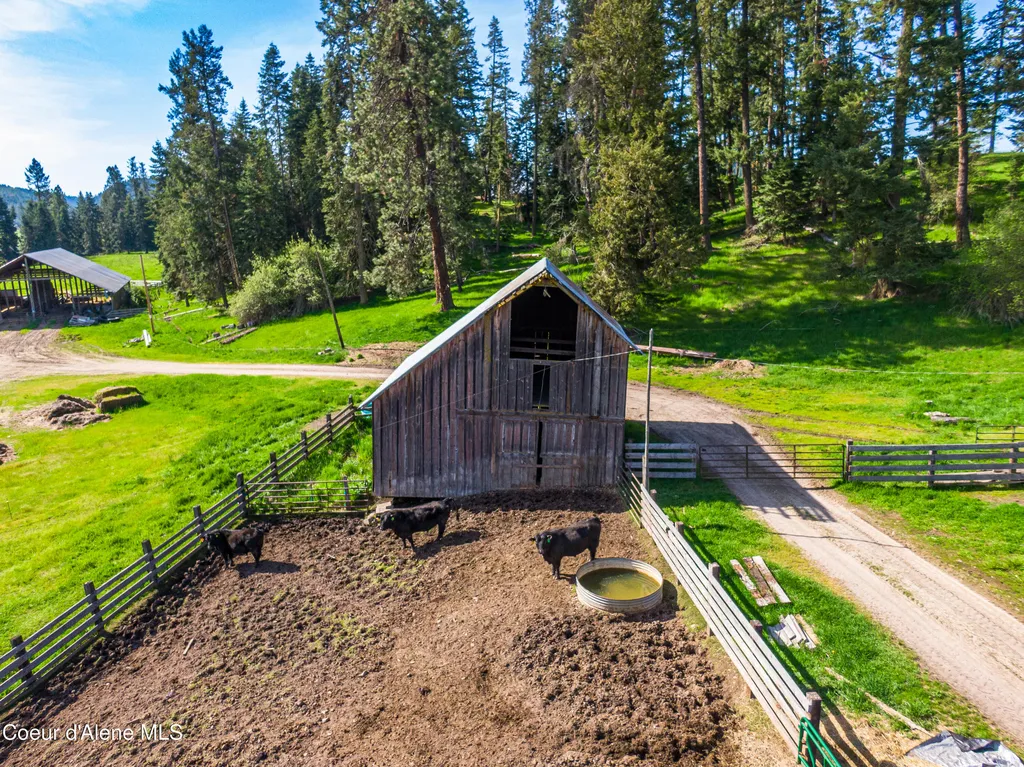 1101 Ruby Creek Road Harvard ID 83834