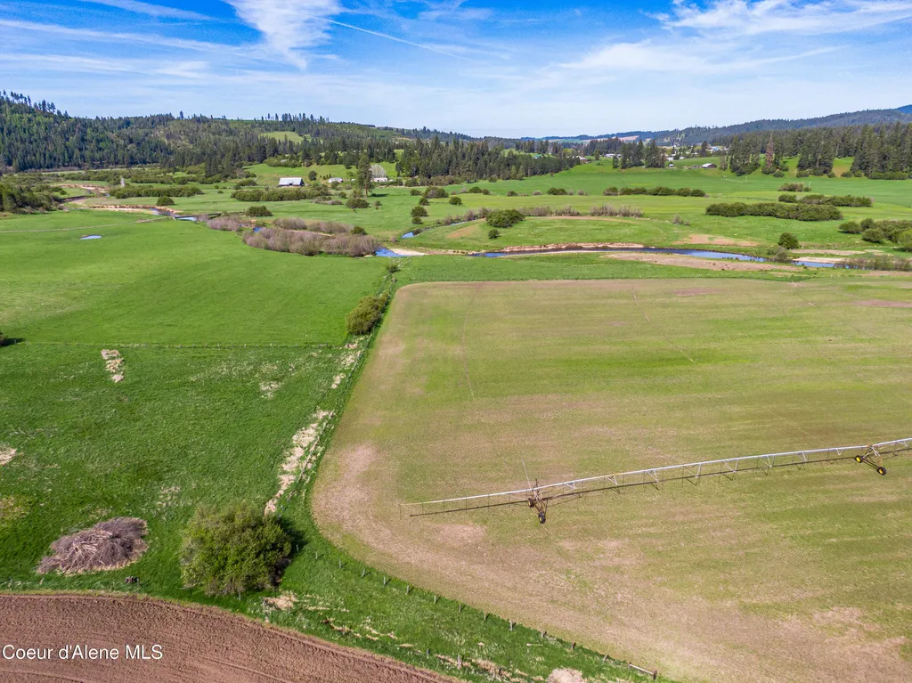 1101 Ruby Creek Road Harvard ID 83834