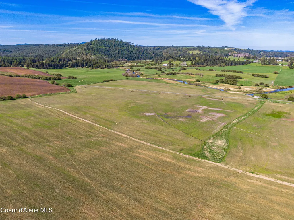 1101 Ruby Creek Road Harvard ID 83834