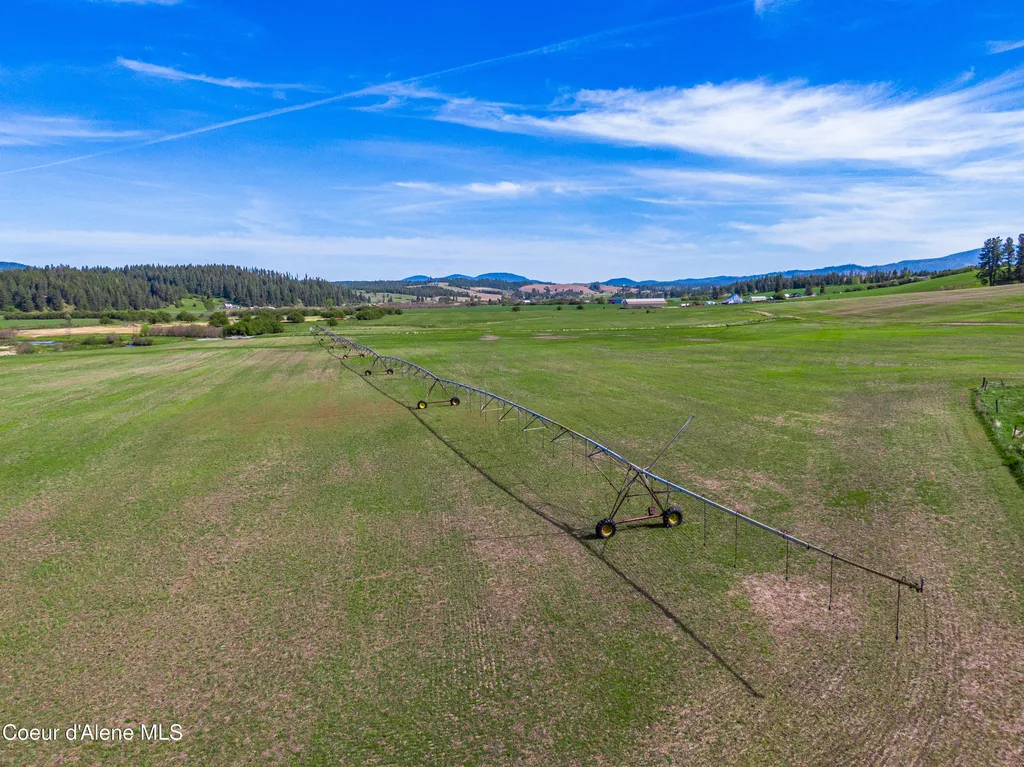 1101 Ruby Creek Road Harvard ID 83834
