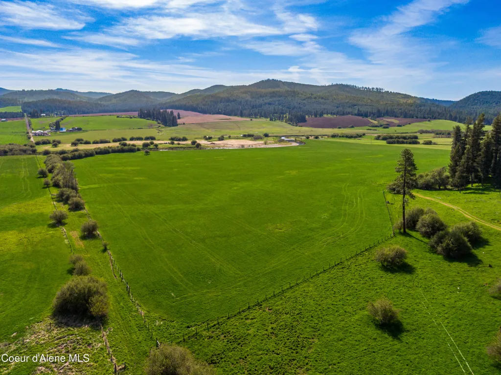 1101 Ruby Creek Road Harvard ID 83834