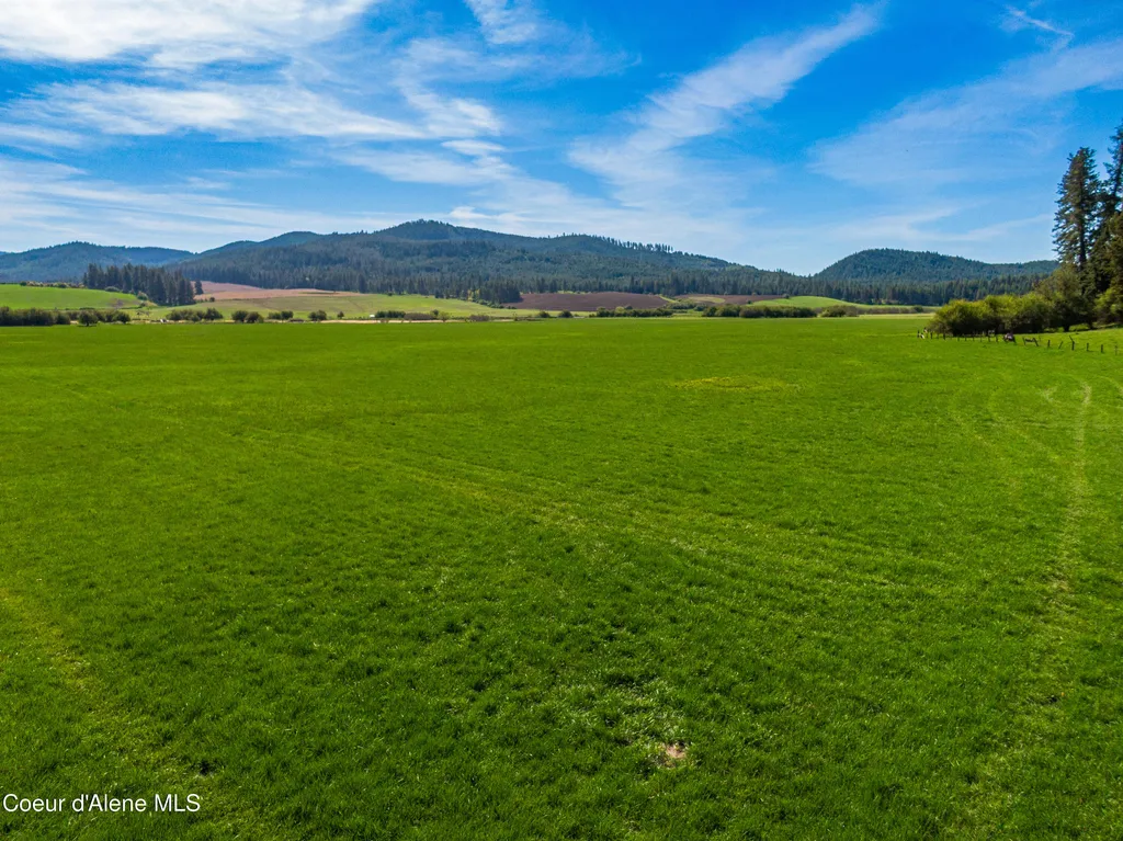 1101 Ruby Creek Road Harvard ID 83834