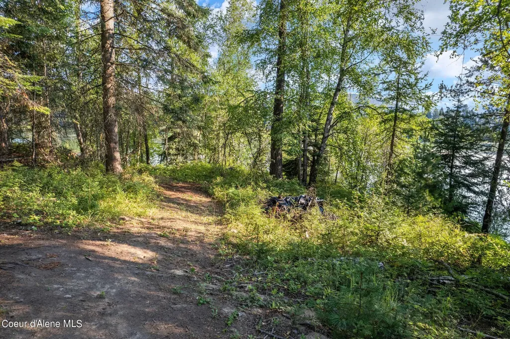 315 Wildberry Lane Sagle ID 83860