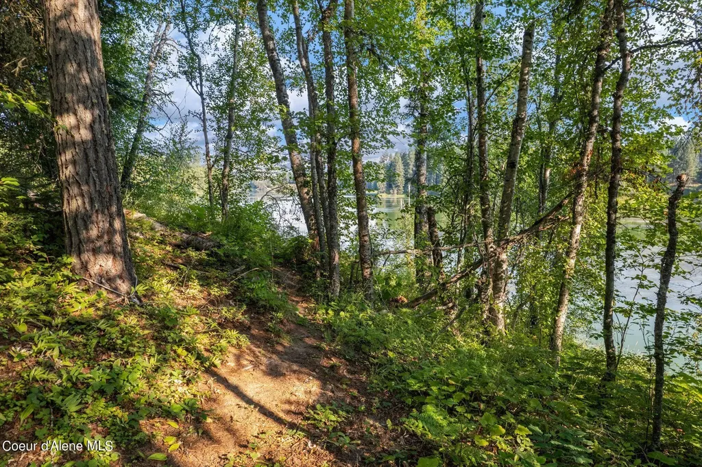 315 Wildberry Lane Sagle ID 83860
