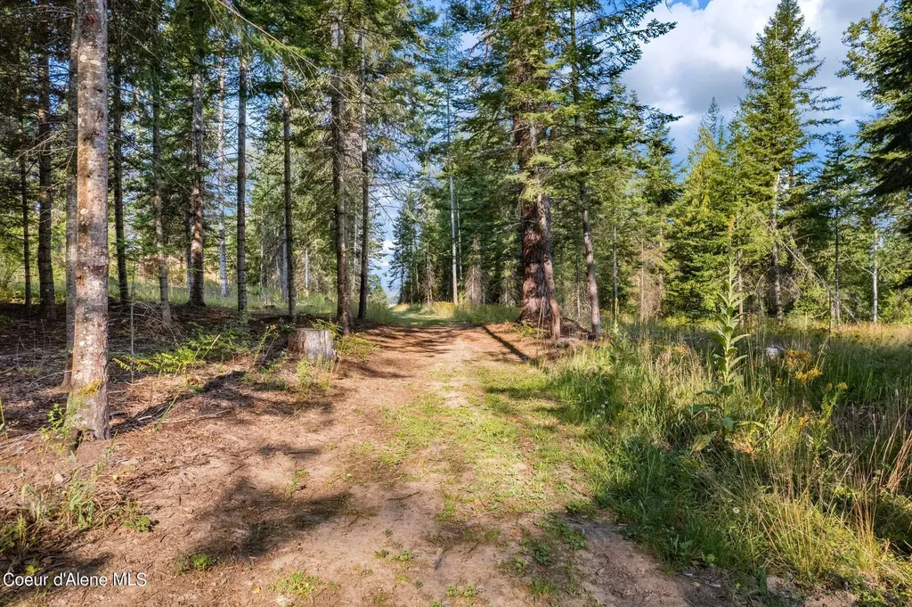 315 Wildberry Lane Sagle ID 83860