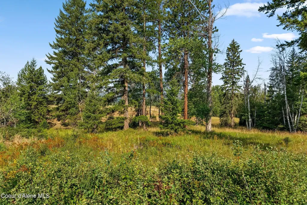 315 Wildberry Lane Sagle ID 83860