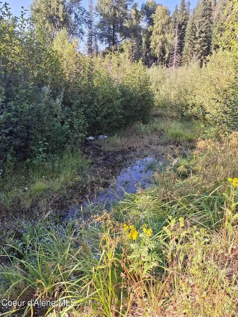 Nka Beaver Creek Road Wallace ID 83873