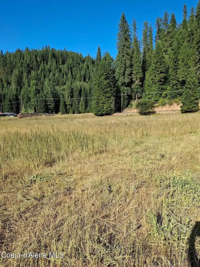 Nka Beaver Creek Road Wallace ID 83873